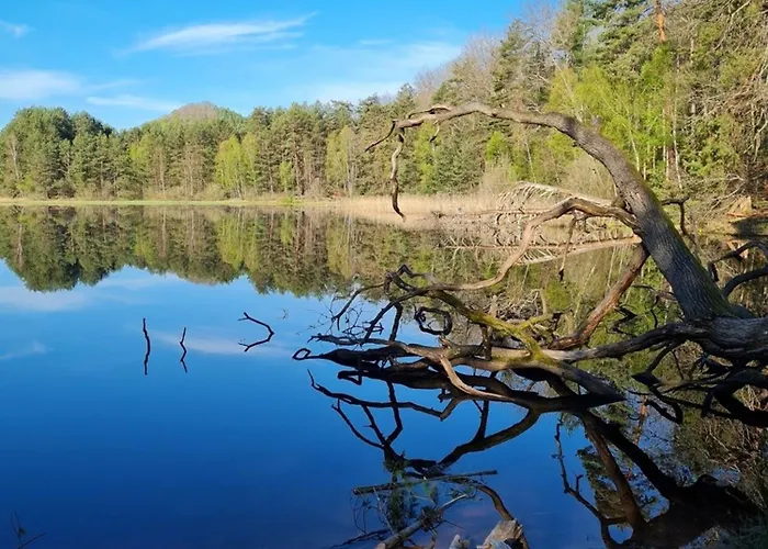 Appartement Wasgauer Felsen Und Seenland Ludwigswinkel